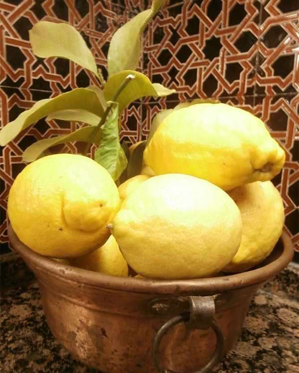 Lemons-photo-01